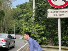 -田心森林公园