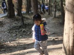 -紫金山山顶公园