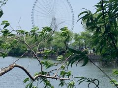 -无锡蠡湖国家湿地公园-蠡园