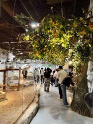 -Zoolung Zoolung动物主题公园(海信广场店)