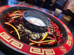 -矮板凳老火锅(宽窄巷子店)
