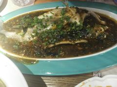 -猫头婴小酒馆FUN OWL(1912店)