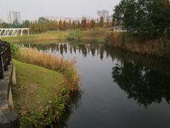 -眉山湿地公园(东坡区)