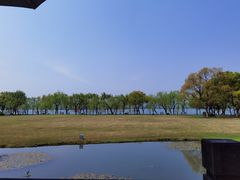 -闻莺馆(柳浪闻莺店)
