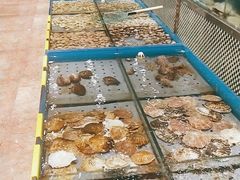 水产区-红高粱大酒店(宁山东路店)