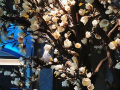 -仟汇足道·SPA(秀洲总店)