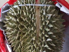 -三亚新鸿港水果一级批发市场
