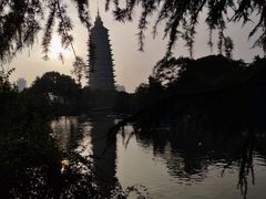 -红梅公园