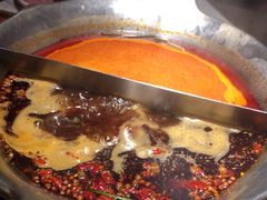 -九鼎轩脆毛肚火锅(三钢里店)