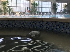 -御景山温泉花园酒店