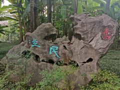-重庆彩云湖湿地公园