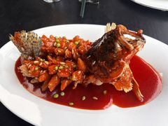 -RIVIERA 松鹤楼(外滩店)
