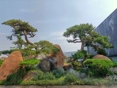 -罗红摄影艺术馆