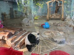 -海南热带野生动植物园