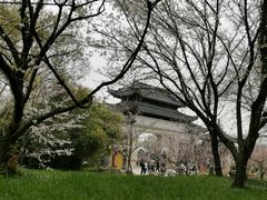-苏州上方山国家森林公园