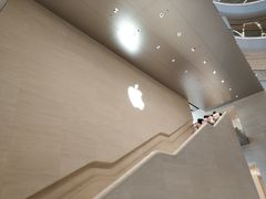 -Apple零售店(玄武湖店)