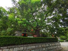 -杨家埠民间艺术大观园