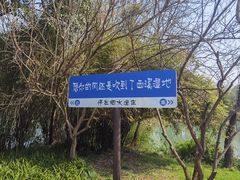 -西溪国家湿地公园