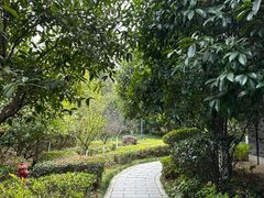 -八大山人梅湖景区