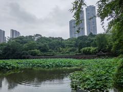 -龙头寺公园