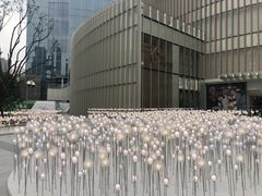 -SFC上影影城(港汇永华IMAX激光店)