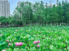-沐仙湖湿地公园
