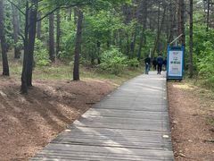 -帽儿山国家森林公园