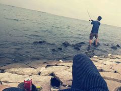 -碧海金沙