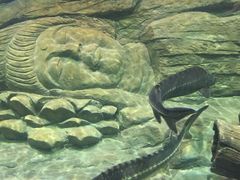 -重庆欢乐海底世界
