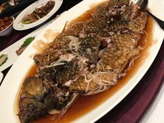 罾蹦鲤鱼-津菜典藏河西店(水上店)