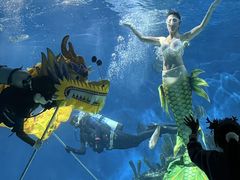 -海合安武汉极地海洋公园