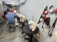 -PETKIT小佩宠物(古北店)