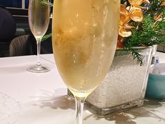 -新加坡乌节希尔顿酒店 (SG Clean)