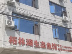 -柘林湖生态鱼馆