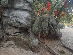-杭州西湖风景名胜区-三生石