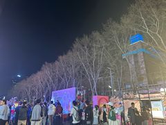 -金茂览秀城
