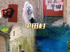 -杨家堂村