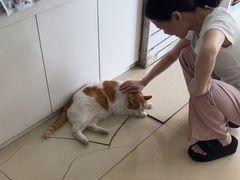 -宠福鑫动物医院(立水桥分院)