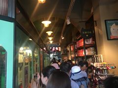 -猫咪博物馆(顶澳仔猫街店)