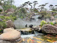 -罗红摄影艺术馆