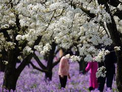 -江苏三台山国家森林公园