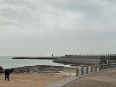 -渡海小渔村.老辈日照菜