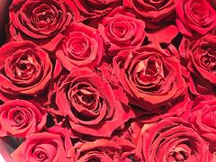 -ROSEONLY诺誓(青岛万象城店)