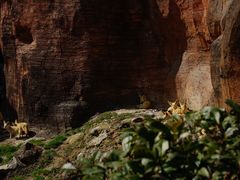 -杭州野生动物世界