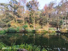 -岳麓山风景名胜区