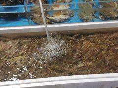 -济南海鲜大市场
