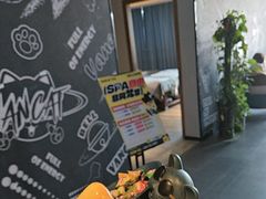 -梵猫·新养生(湛江鼎盛店)