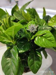 -威德钻石-克拉钻大本营(南京东路店)