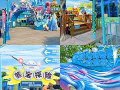 -海合安武汉极地海洋公园