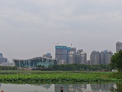 -月湖风景区